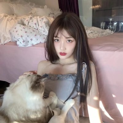 成凰录